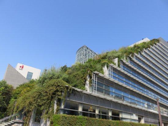 アクロス福岡
